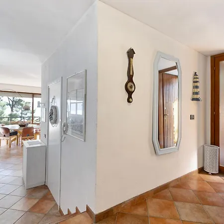 Apartment Belvedere Su In *