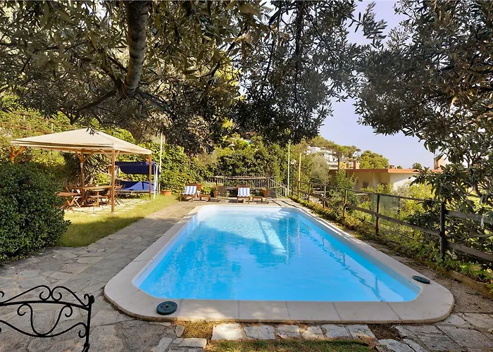 Apartment Belvedere Su In